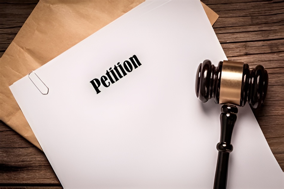Elections Petition Law